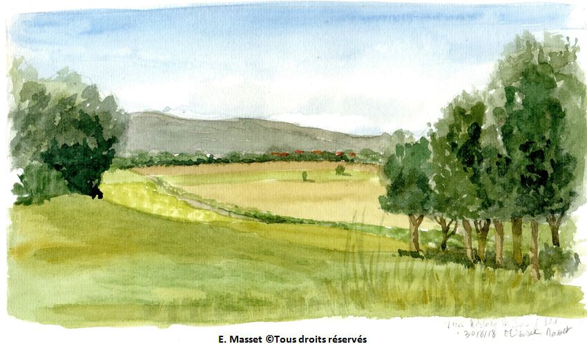 La campgane après Arblade le bas .Chemin de compostelle. En forme après une bonne nuit, hop, une envie de dessiner. Aquarelle. Août 2018.