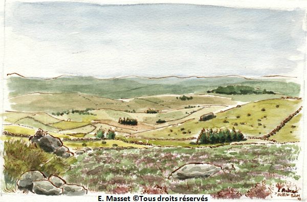 Le paysage âpre et austère de l'Aubrac.J'ai marché en chaussettes dans l'herbe épaisse. Août 2001. 