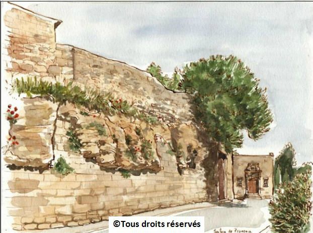 Un mur du château de l'Emperi à salon de Provence.J'aimais bien ces touffes...  Mai 2001.