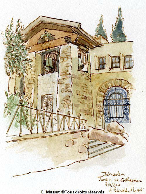 Jérusalem.Le jardin de Gethsemani, le clocher de l'église des Nations. Novembre 2011. Collection Sophie Masset.
