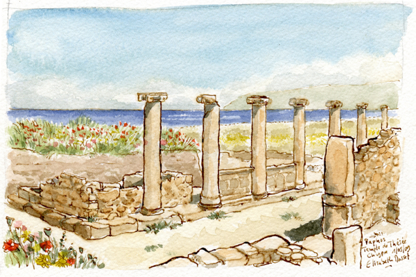 Les ruines de Paphos.Un essai avec les colonnes du palais de Thésée. Plein de fleurs partout ! C'était la bonne saison ! Ma soeur m'a dit que les colonnes donnaient l'impression de porter le ciel. C'est vrai y'a un truc bizarre mais il suffirait peut être de renforcer le haut des colonnes à l'encre. Mai 2009.