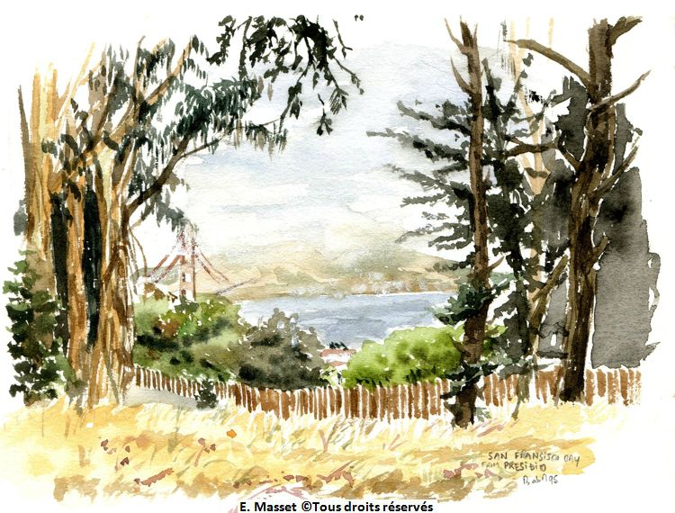 San Francisco, le parc du Presidio avec vaguement, au loin le Golden gate bridge. J'ai adoré San Francisco, je m'étais promis de revenir dessiner les maisons. Cela reste encore à faire. Août 1995.