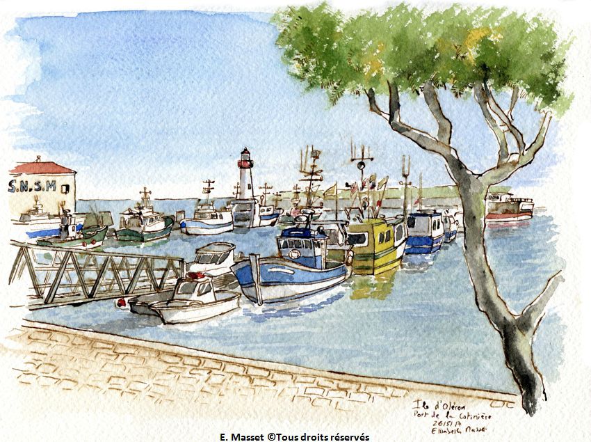 Ile d'Oléron. Port de la Cotinière. Encre et aquarelle. Mai 2017.