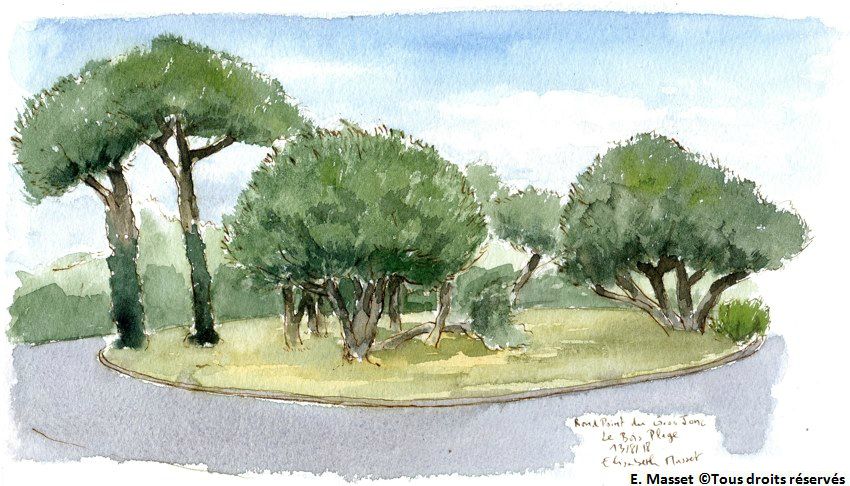 Le Bois Plage en Ré.Le rond point du gros jonc. On avait 30 mn à attendre la navette des vélos... J'en ai profité pour travailler ces pins. Encre et aquarelle. Août 2018.