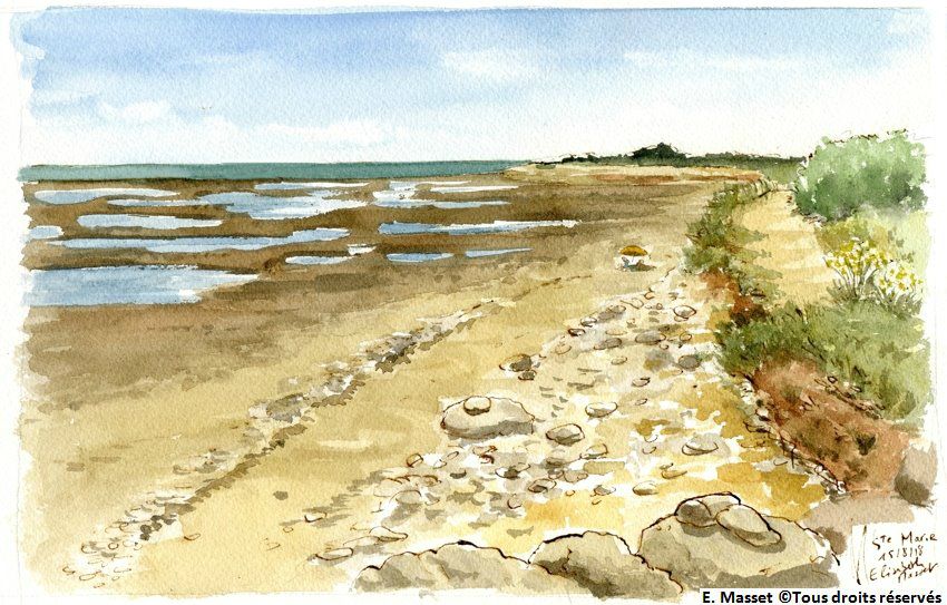 Sainte Marie de Ré.La plage près de port Notre-Dame. Un 15 août ! Encre et aquarelle. Août 2018.